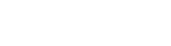 produtor cultural e diretor executivo